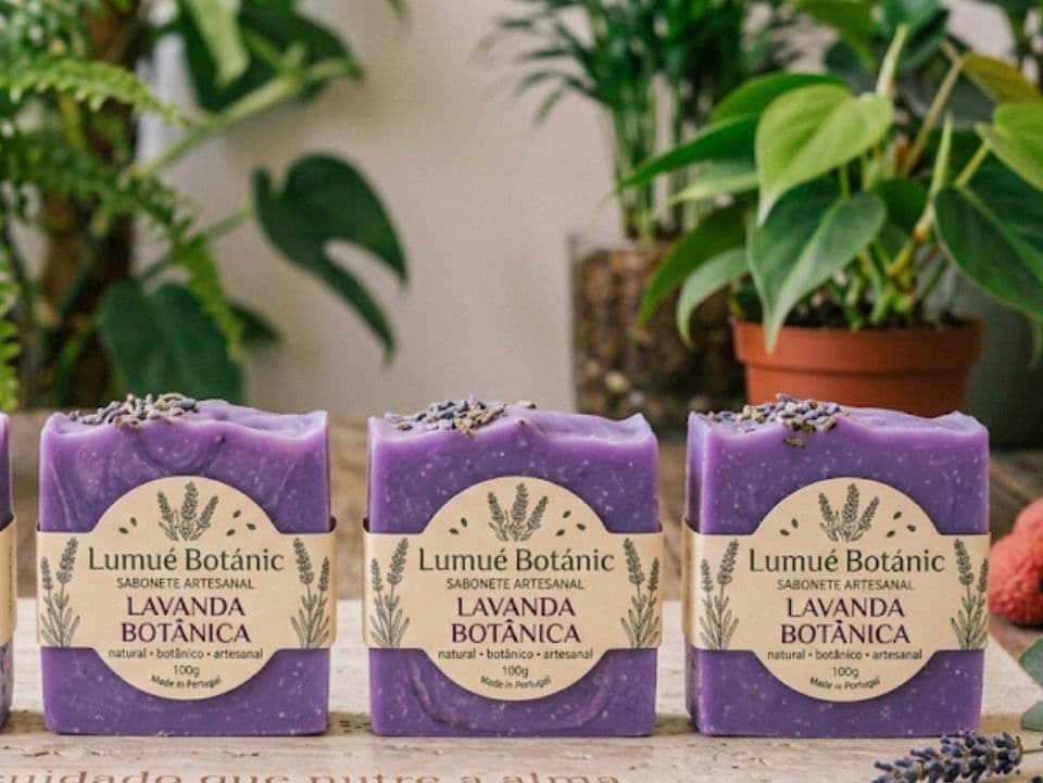Lavanda Botânica